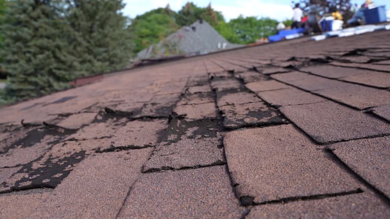 Best Roof Coating and Sealing  in Parsons, WV