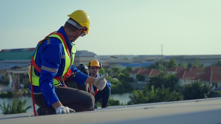 Best Sheet Metal Roofing  in Parsons, WV