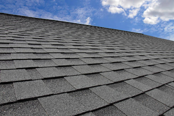 Best Solar Panel Roofing Installation  in Parsons, WV