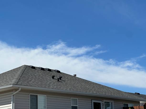 Best Asphalt Shingles Roofing  in Parsons, WV